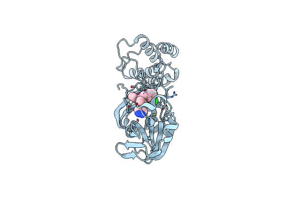 7TEK image