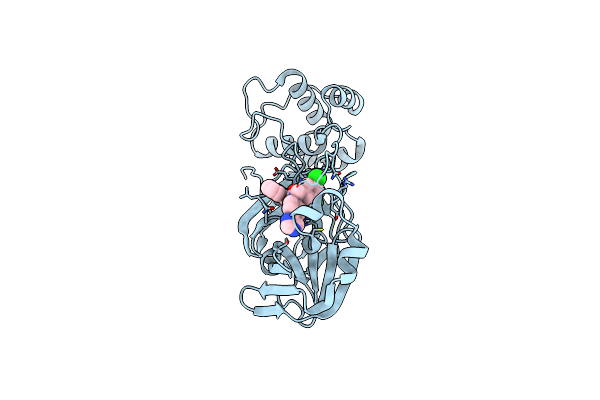 7TEL image