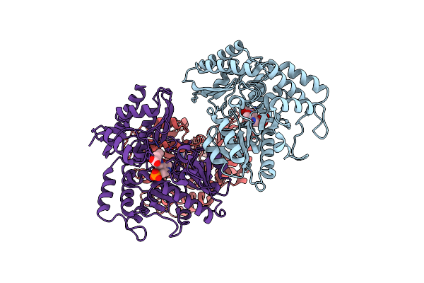 7TEV image