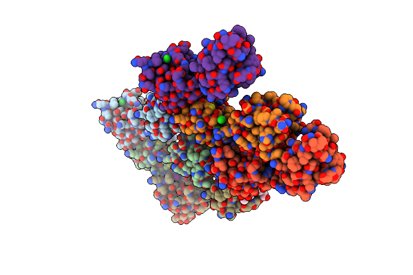 7THH image