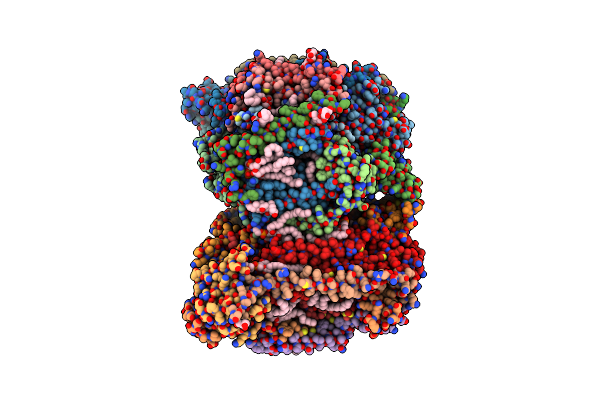 7TII image