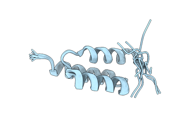 7TIO image
