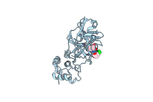 7TIV image