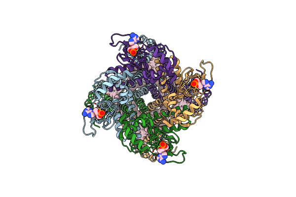 7TKT image