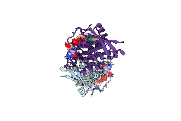 7TLG image