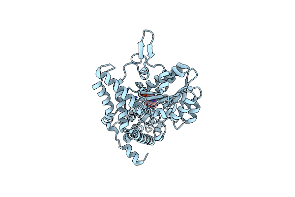 7TLM image