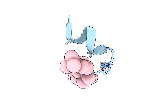 7TM2 image