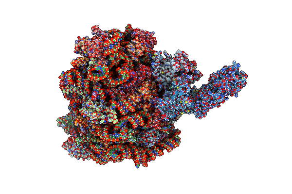 7TM3 image