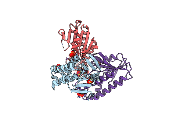7TM8 image