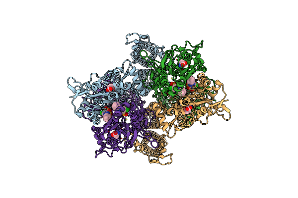 7TNP image