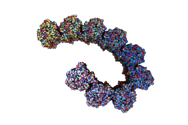 7TNT image