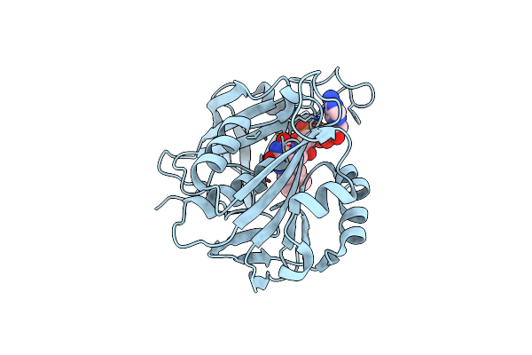 7TNV image