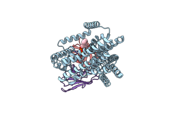7TPG image