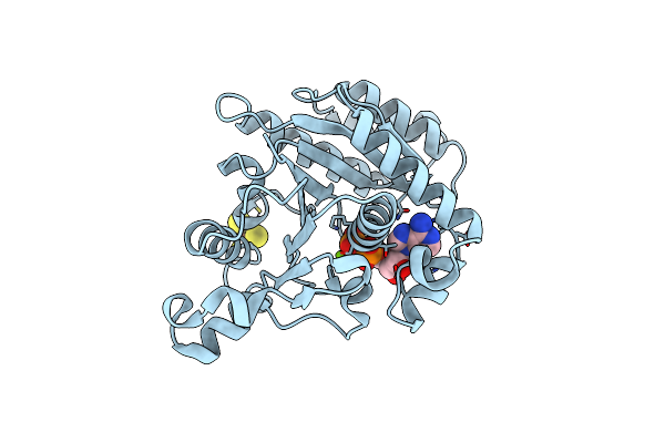 7TPN image