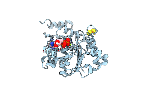 7TPV image