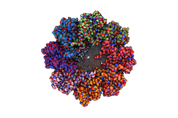 7TRG image