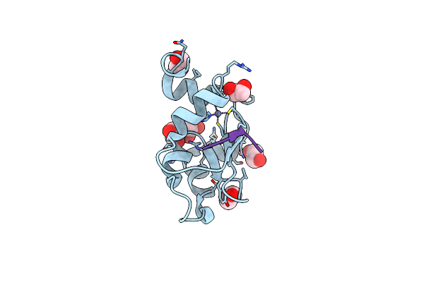 7TRL image