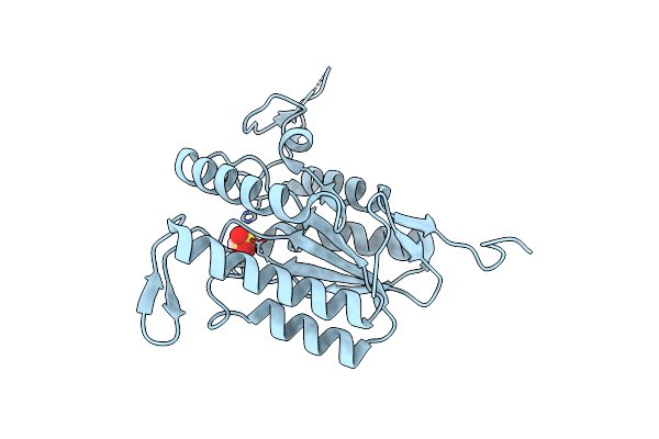 7TRR image
