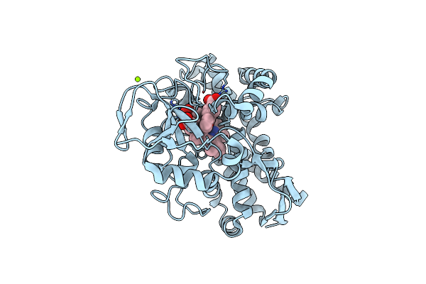 7TRT image