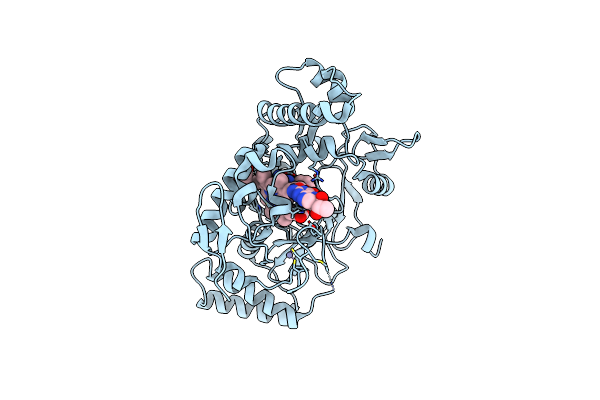 7TSA image