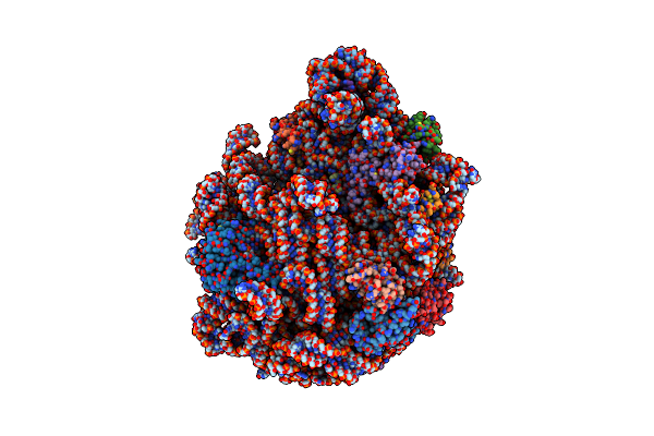 7TTU image