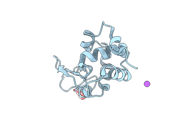 7TUM image