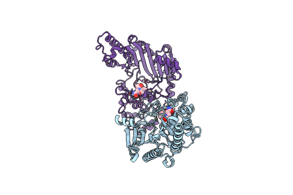7TUN image