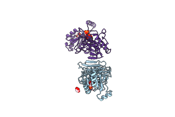 7TXB image