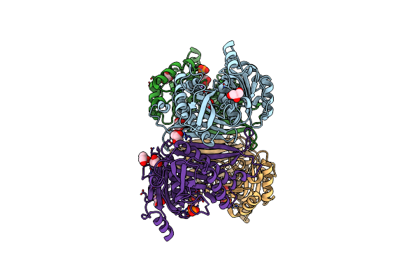 7TXG image