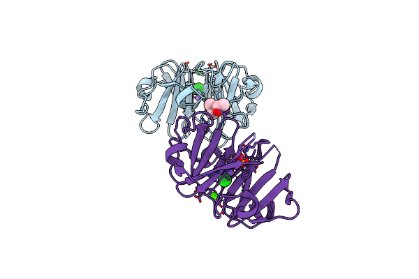 7TXR image