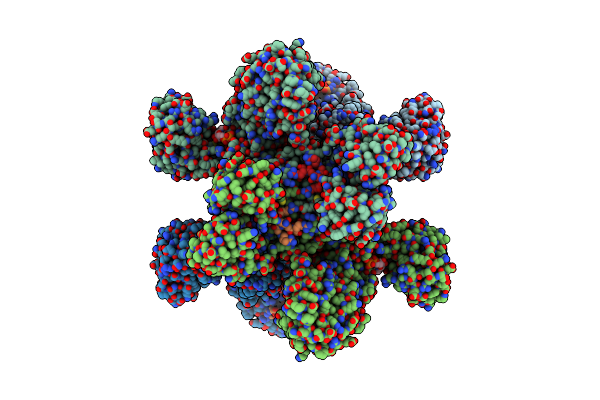 7TXV image
