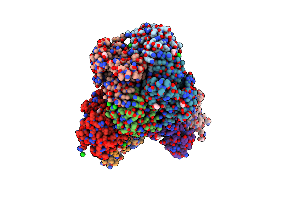 7TZP image