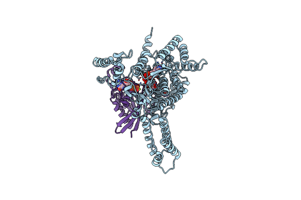 7U2P image