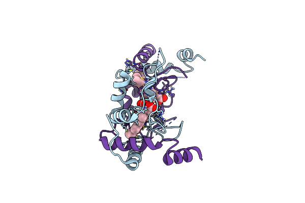 7U2V image