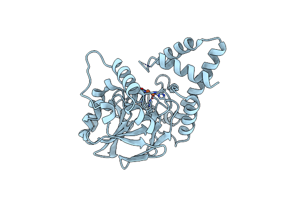 7U6G image