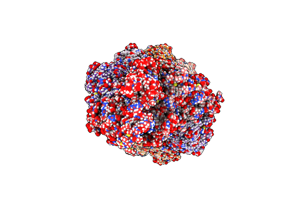 7U8K image