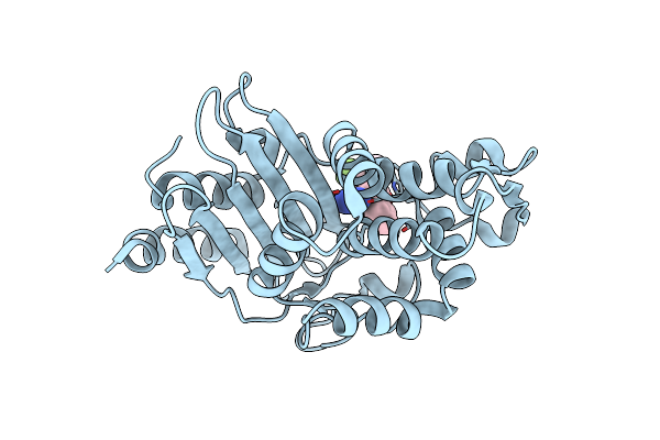7U9B image