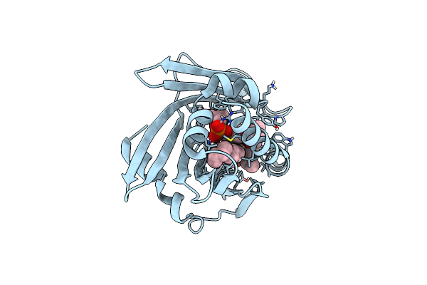 7U9D image