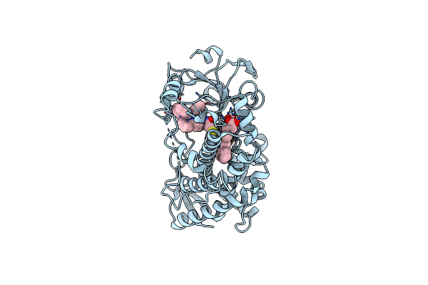 7UAY image