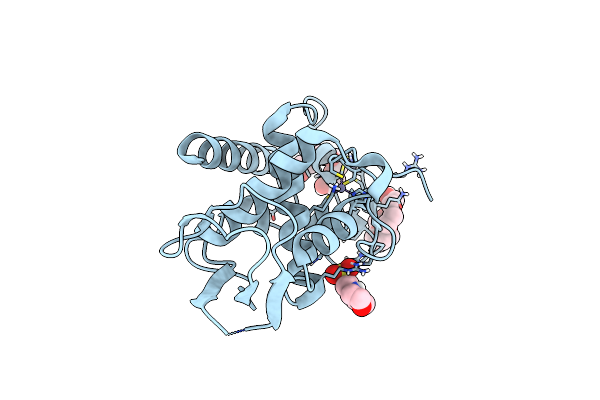 7UBA image