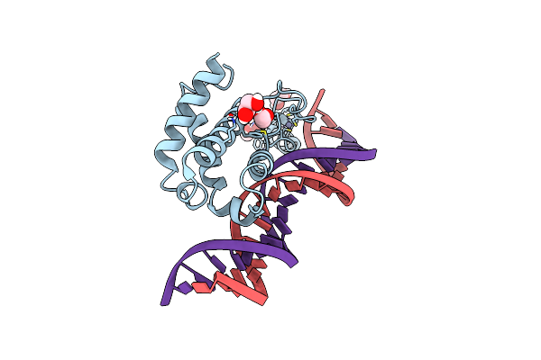 7UBL image