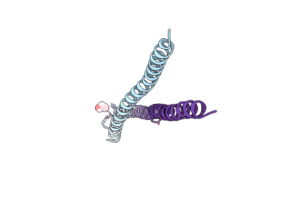 7UCC image