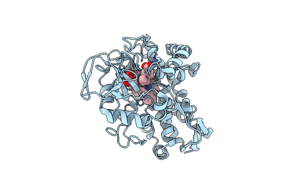 7UDF image