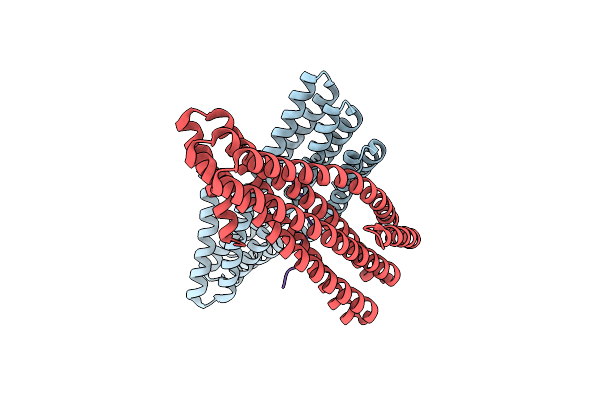 7UDM image