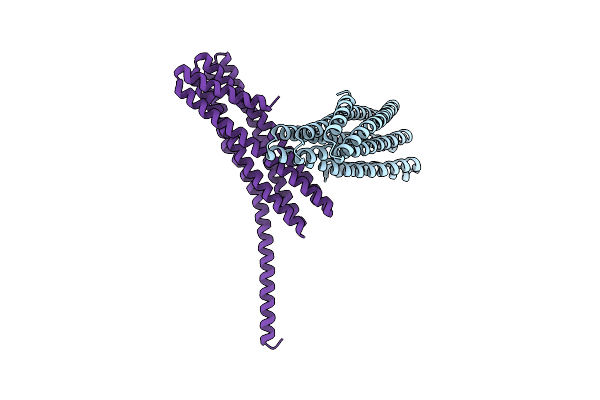 7UDN image