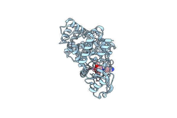 7UDP image