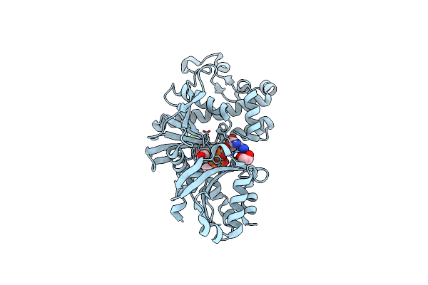 7UE8 image