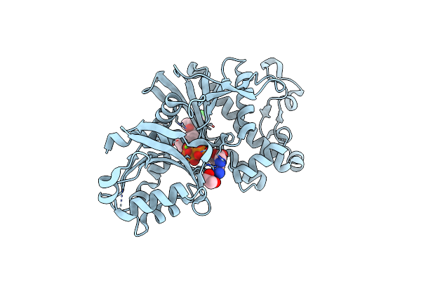 7UEP image
