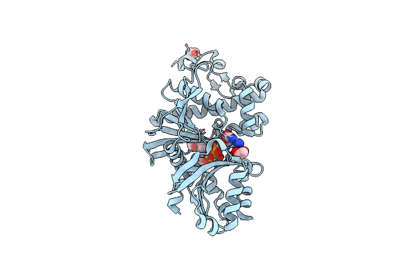 7UET image
