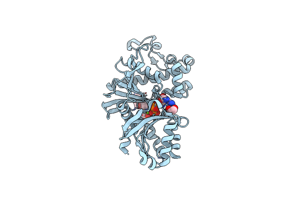 7UEU image